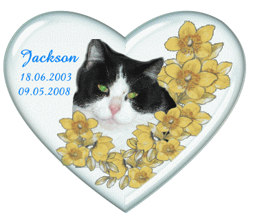 Wir trauern um Jackson, der am 07-05-2008 mit 40 Schrothkugeln zu Tode gequält wurde