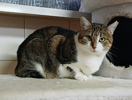 Liana fand am 20.09.2025 zusammen mit Vanity ein Zuhause in Wied