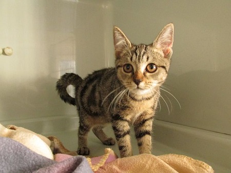 Dawn fand am 27.09.2025 zusammen mit Dusk ein Zuhause in Derschen