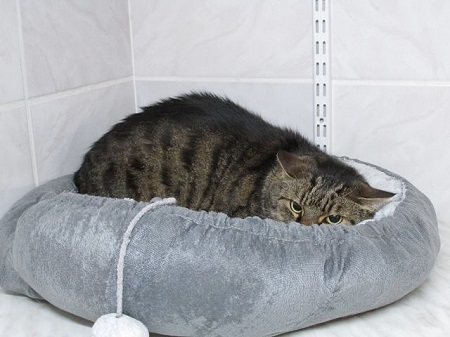 Rain ist noch sehr durcheinander