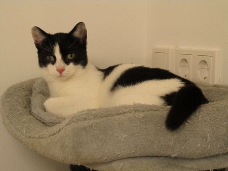 Maxine fand am 01.11.2025 zusammen mit Ozzy ein Zuhause in Siegen