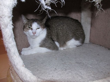 Spicy ist noch sehr scheu