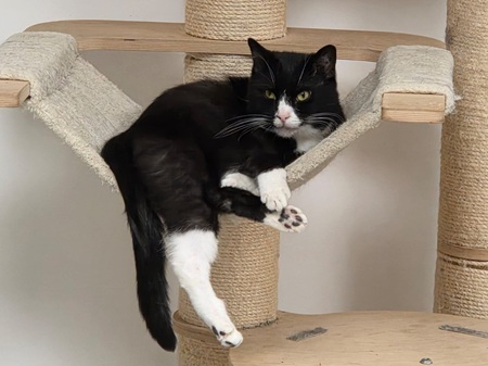 Matteo ist noch sehr schüchtern