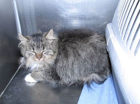 Rufus ist noch sehr schüchtern