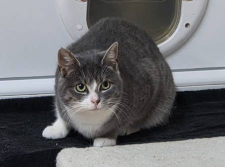 Salma ist noch sehr scheu