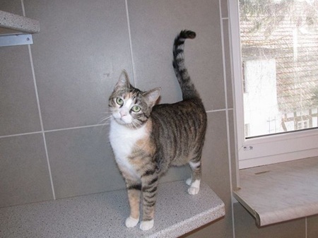 Carolina ist noch etwas schüchtern