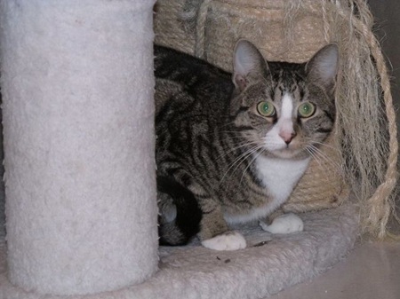 Charles ist noch sehr schüchtern