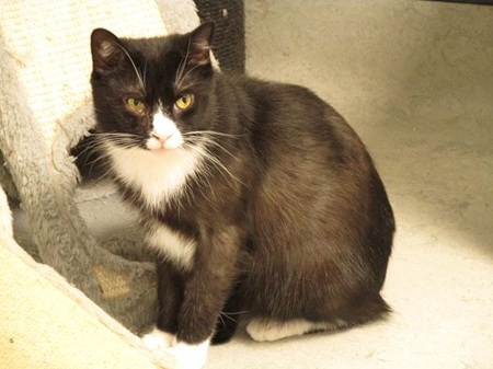 Matteo ist noch sehr schüchtern