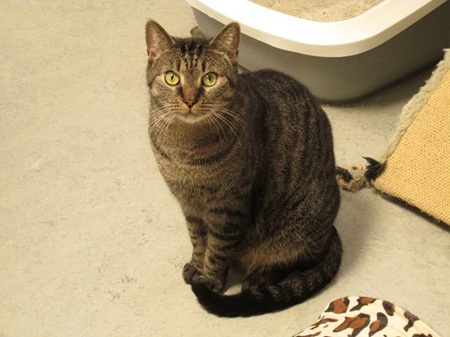 Mirko ist noch etwas schüchtern