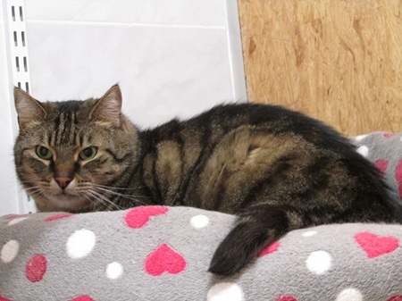 Rain ist anfangs etwas schüchtern