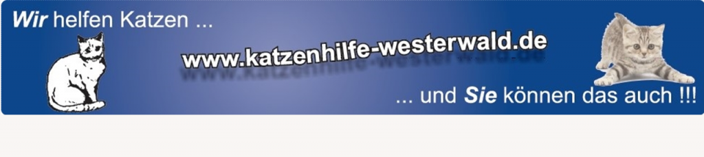 Katzenhilfe Westerwald