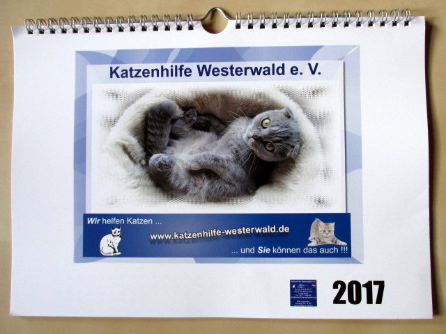 Katzenhilfe Kalender 2017