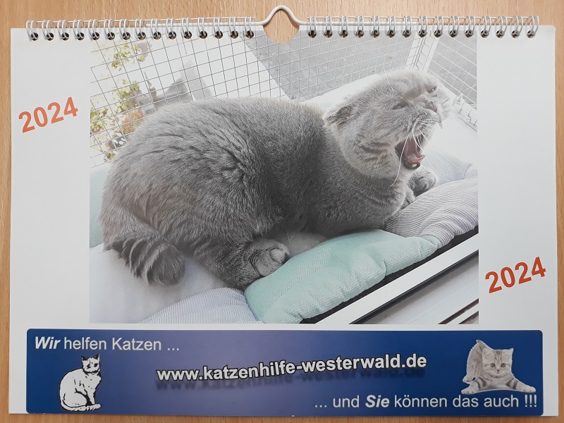 Kalender 2024 HP groß